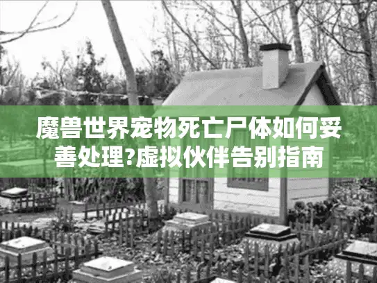 魔兽世界宠物死亡尸体如何妥善处理?虚拟伙伴告别指南