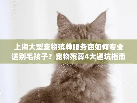 上海大型宠物殡葬服务商如何专业送别毛孩子？宠物殡葬4大避坑指南