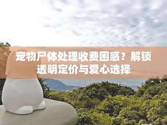 宠物尸体处理收费困惑？解锁透明定价与爱心选择