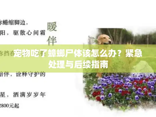 宠物吃了蟑螂尸体该怎么办？紧急处理与后续指南