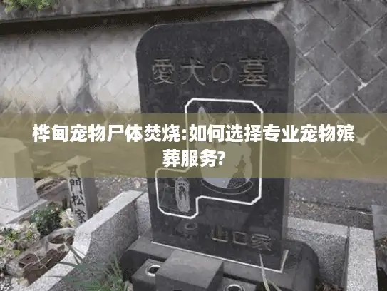 桦甸宠物尸体焚烧:如何选择专业宠物殡葬服务?