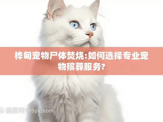 桦甸宠物尸体焚烧:如何选择专业宠物殡葬服务?