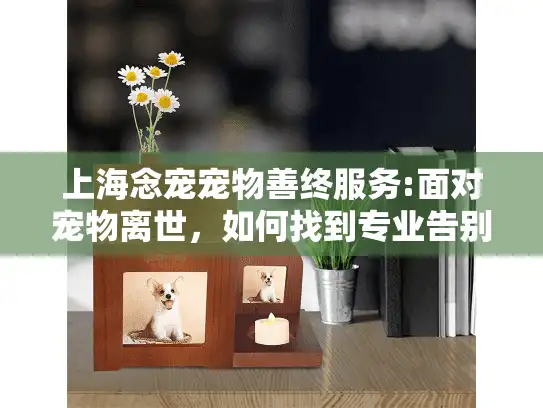 上海念宠宠物善终服务:面对宠物离世，如何找到专业告别方案?
