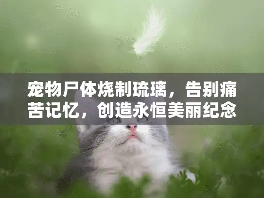 宠物尸体烧制琉璃，告别痛苦记忆，创造永恒美丽纪念新方式