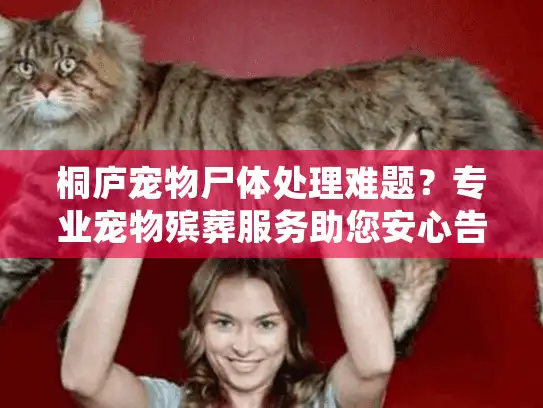 桐庐宠物尸体处理难题？专业宠物殡葬服务助您安心告别