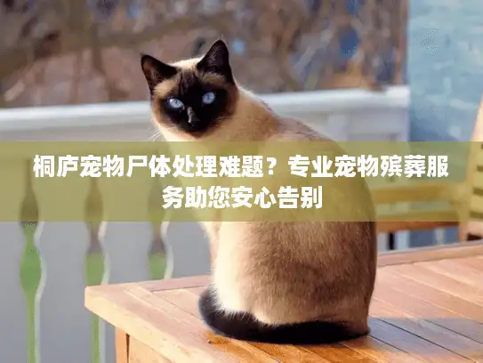 桐庐宠物尸体处理难题？专业宠物殡葬服务助您安心告别
