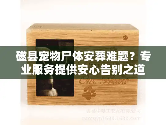 磁县宠物尸体安葬难题？专业服务提供安心告别之道