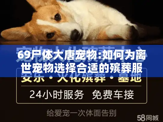 69尸体大唐宠物:如何为离世宠物选择合适的殡葬服务?