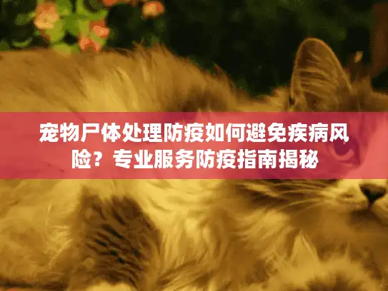 宠物尸体处理防疫如何避免疾病风险？专业服务防疫指南揭秘