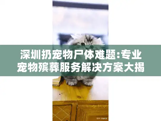 深圳扔宠物尸体难题:专业宠物殡葬服务解决方案大揭秘