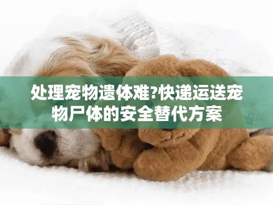 处理宠物遗体难?快递运送宠物尸体的安全替代方案