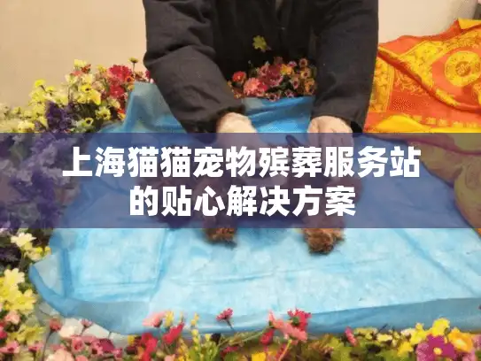 上海猫猫宠物殡葬服务站的贴心解决方案