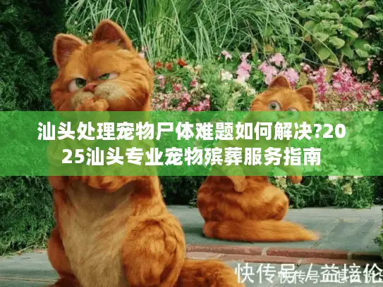 汕头处理宠物尸体难题如何解决?2025汕头专业宠物殡葬服务指南