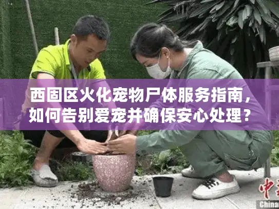 西固区火化宠物尸体服务指南，如何告别爱宠并确保安心处理？