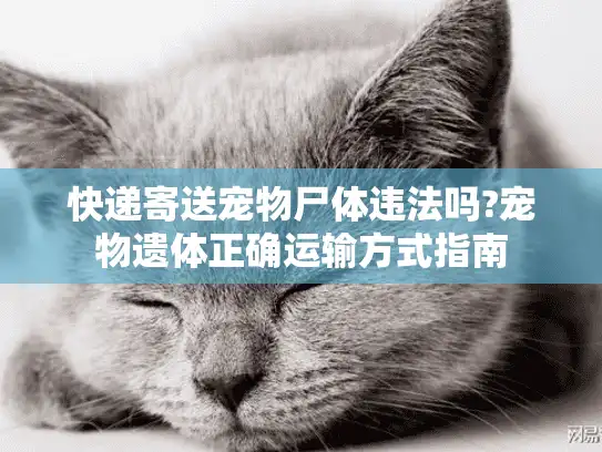 快递寄送宠物尸体违法吗?宠物遗体正确运输方式指南