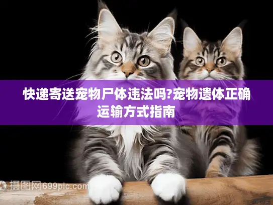 快递寄送宠物尸体违法吗?宠物遗体正确运输方式指南
