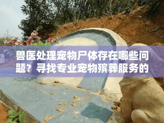 兽医处理宠物尸体存在哪些问题？寻找专业宠物殡葬服务的正确方式