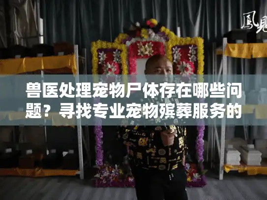 兽医处理宠物尸体存在哪些问题？寻找专业宠物殡葬服务的正确方式