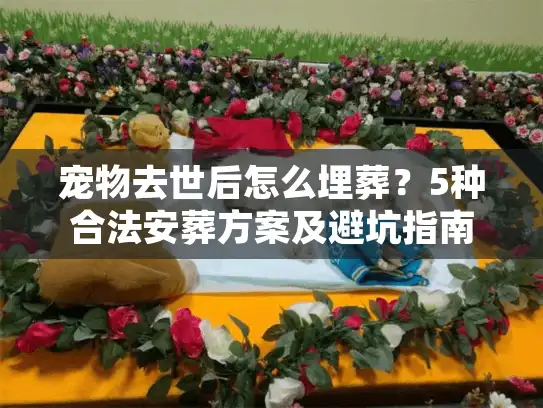 宠物去世后怎么埋葬？5种合法安葬方案及避坑指南