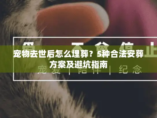 宠物去世后怎么埋葬？5种合法安葬方案及避坑指南