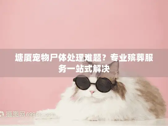 塘厦宠物尸体处理难题？专业殡葬服务一站式解决