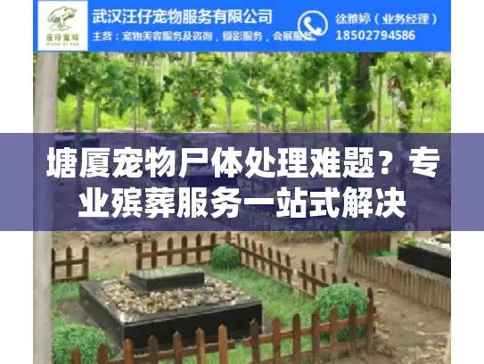 塘厦宠物尸体处理难题？专业殡葬服务一站式解决