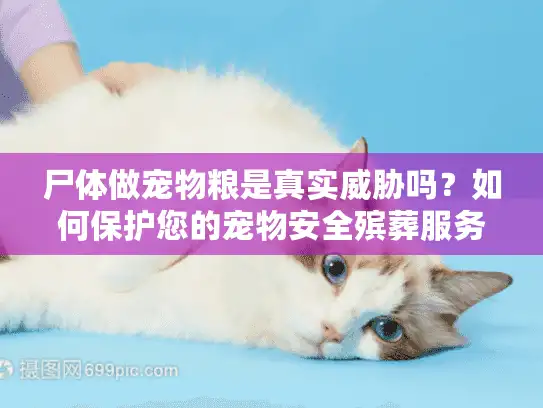 尸体做宠物粮是真实威胁吗？如何保护您的宠物安全殡葬服务选择
