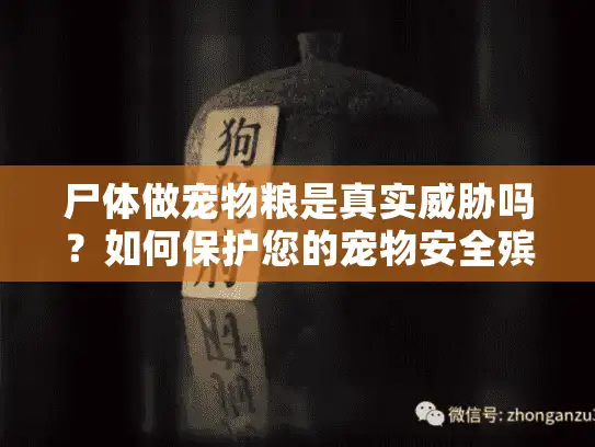 尸体做宠物粮是真实威胁吗？如何保护您的宠物安全殡葬服务选择