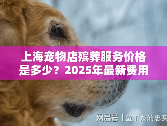 上海宠物店殡葬服务价格是多少？2025年最新费用对比解析