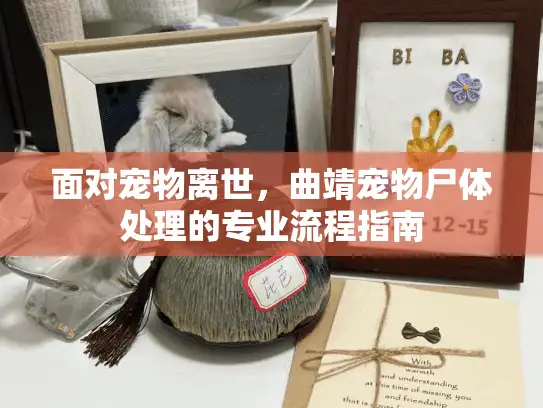 面对宠物离世，曲靖宠物尸体处理的专业流程指南