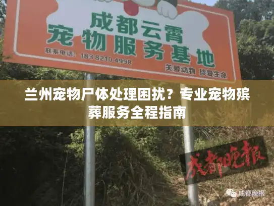 兰州宠物尸体处理困扰？专业宠物殡葬服务全程指南