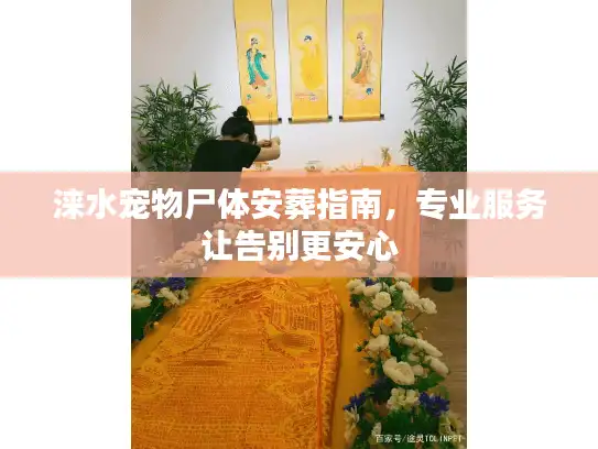 涞水宠物尸体安葬指南，专业服务让告别更安心