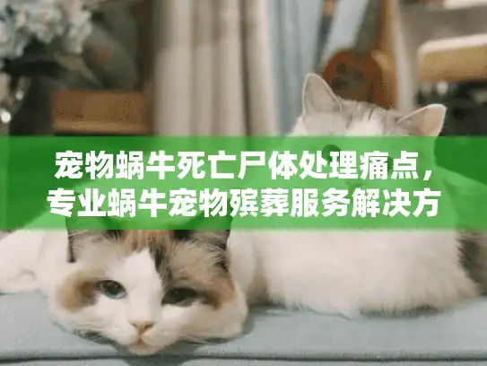 宠物蜗牛死亡尸体处理痛点，专业蜗牛宠物殡葬服务解决方案
