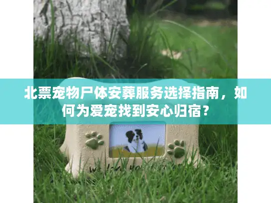 北票宠物尸体安葬服务选择指南，如何为爱宠找到安心归宿？