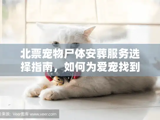 北票宠物尸体安葬服务选择指南，如何为爱宠找到安心归宿？