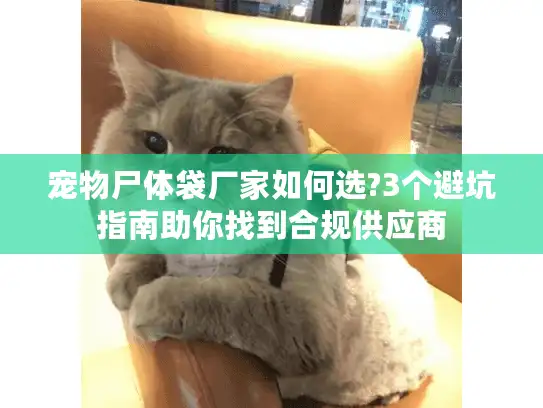 宠物尸体袋厂家如何选?3个避坑指南助你找到合规供应商