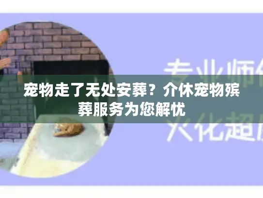 宠物走了无处安葬？介休宠物殡葬服务为您解忧