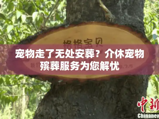宠物走了无处安葬？介休宠物殡葬服务为您解忧