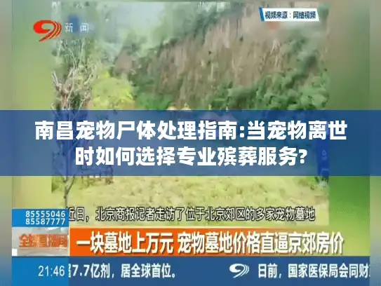 南昌宠物尸体处理指南:当宠物离世时如何选择专业殡葬服务?