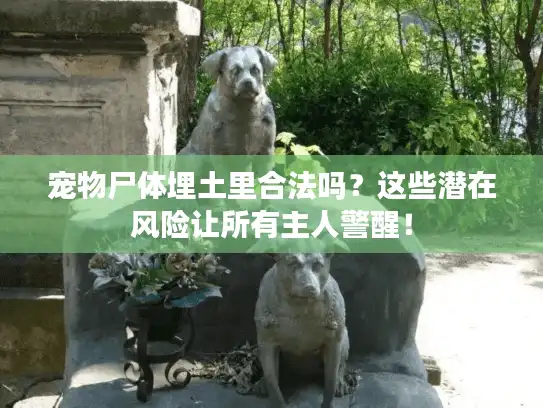 宠物尸体埋土里合法吗？这些潜在风险让所有主人警醒！