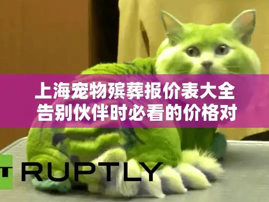 上海宠物殡葬报价表大全 告别伙伴时必看的价格对比方案