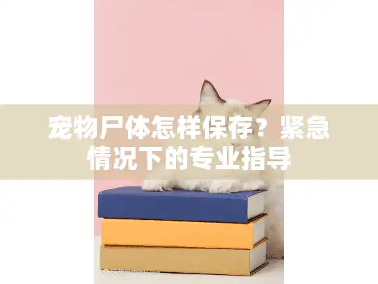 宠物尸体怎样保存？紧急情况下的专业指导