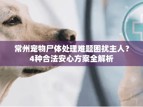 常州宠物尸体处理难题困扰主人？4种合法安心方案全解析