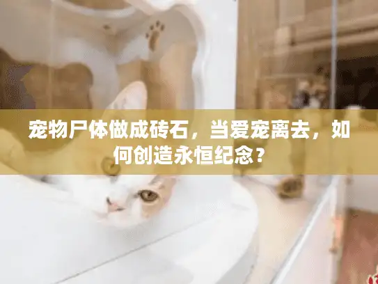 宠物尸体做成砖石，当爱宠离去，如何创造永恒纪念？