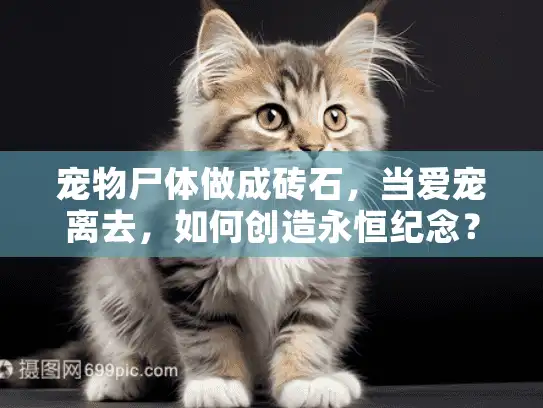 宠物尸体做成砖石，当爱宠离去，如何创造永恒纪念？