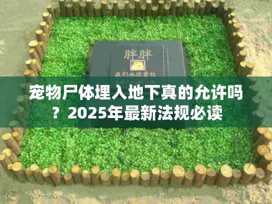 宠物尸体埋入地下真的允许吗？2025年最新法规必读