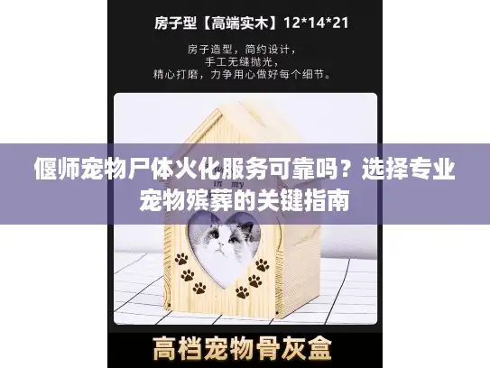 偃师宠物尸体火化服务可靠吗？选择专业宠物殡葬的关键指南