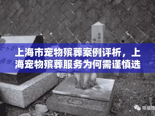 上海市宠物殡葬案例评析，上海宠物殡葬服务为何需谨慎选择？