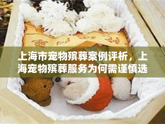 上海市宠物殡葬案例评析，上海宠物殡葬服务为何需谨慎选择？