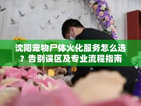 沈阳宠物尸体火化服务怎么选？告别误区及专业流程指南